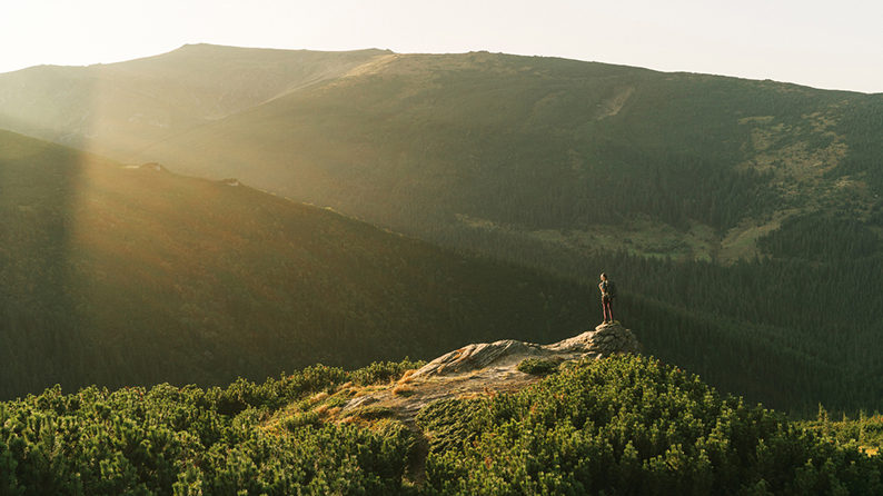 Explore nuestras perspectivas de mercado